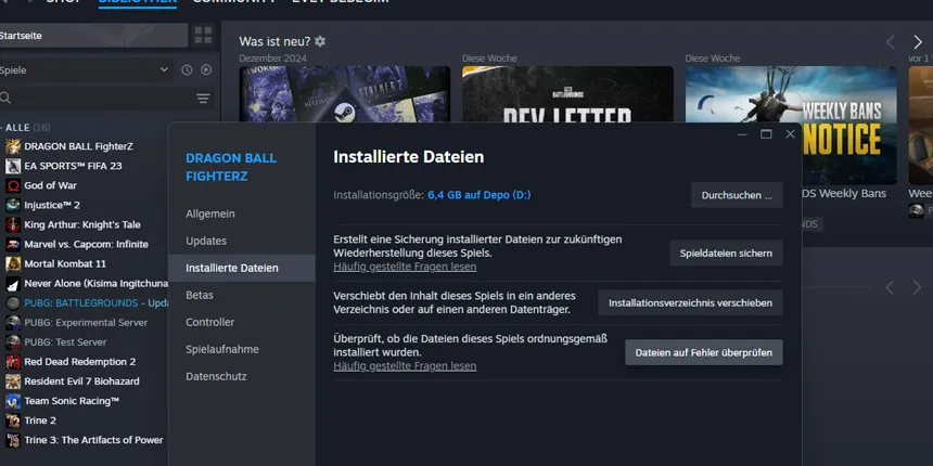 steam-fehler
